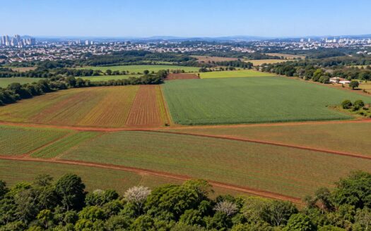 Fazenda com 16 alqueires em Darcinópolis – TO