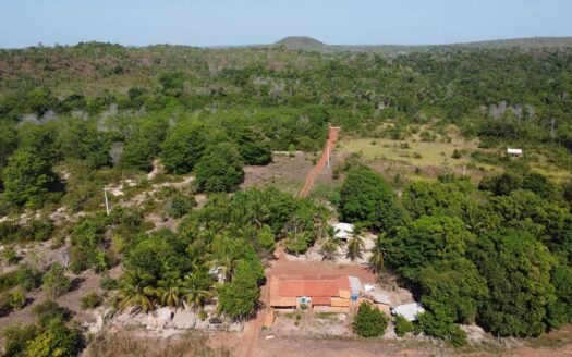 Fazenda com 16 alqueires em Darcinópolis – TO