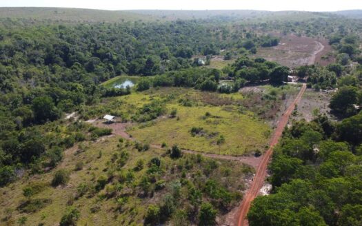 Fazenda com 16 alqueires em Darcinópolis – TO