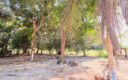 Fazenda com 16 alqueires em Darcinópolis – TO