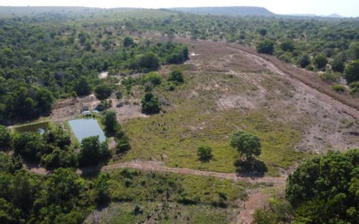 Fazenda com 16 alqueires em Darcinópolis – TO