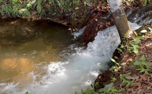 Fazenda com 16 alqueires em Darcinópolis – TO