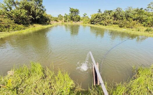 Fazenda com 16 alqueires em Darcinópolis – TO