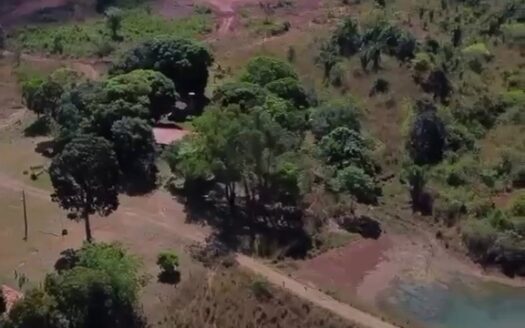 Fazenda próxima de Varderladia 60 alqueires TO