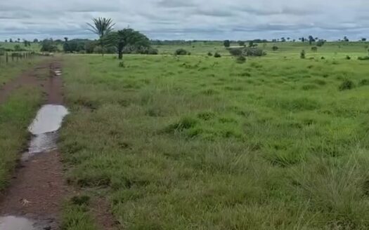 Fazenda com 240 alqueires na Região Norte