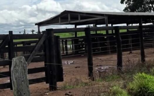 Fazenda com 240 alqueires na Região Norte