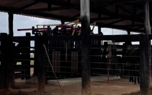 Fazenda com 240 alqueires na Região Norte