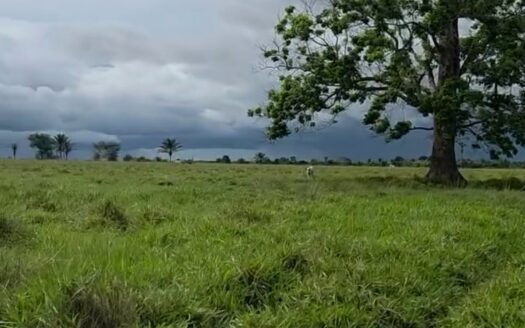 Fazenda com 240 alqueires na Região Norte