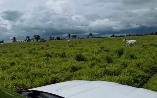 Fazenda com 240 alqueires na Região Norte