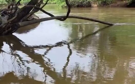 Fazenda com 240 alqueires na Região Norte