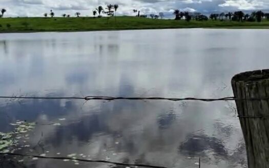 Fazenda com 240 alqueires na Região Norte